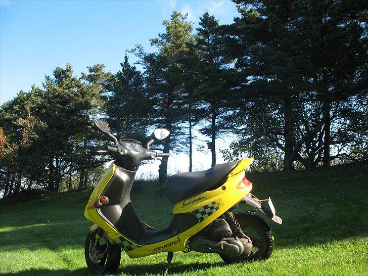 Peugeot speedake billede 2