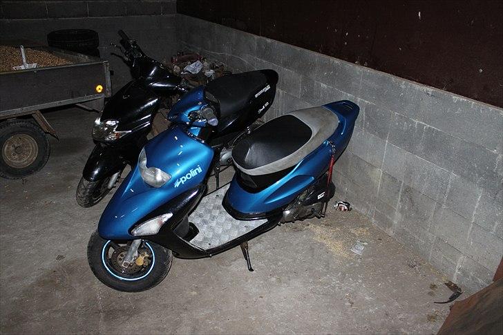 Honda SFX billede 10