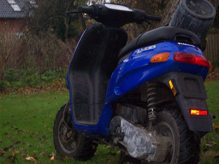 Piaggio typhoon billede 3