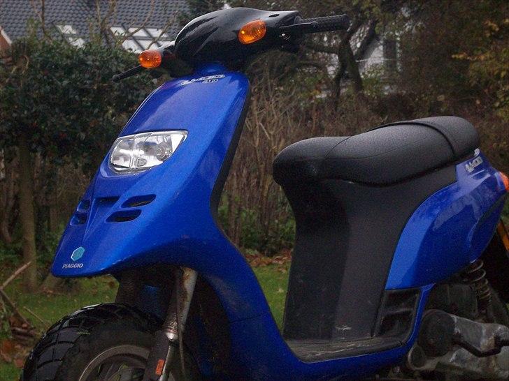 Piaggio typhoon billede 6