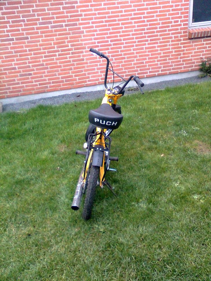 Puch maxi - Solgt billede 6
