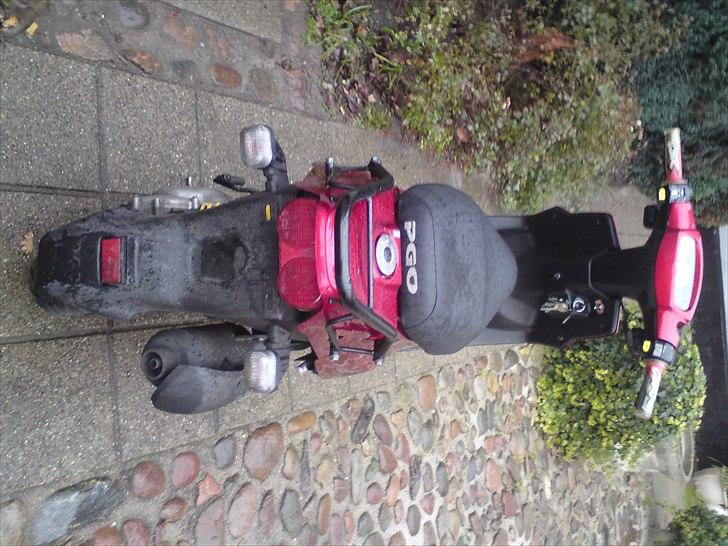 PGO hot 50 (SOLGT)  billede 6