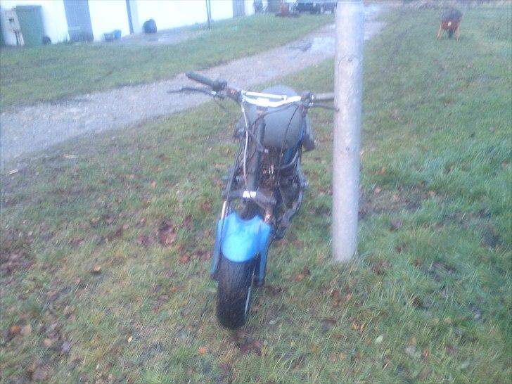 Benelli 491 gt  byttet billede 1