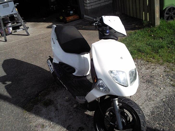 PGO Dr. Big *SOLGT* billede 1