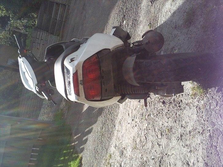 PGO Dr. Big *SOLGT* billede 5