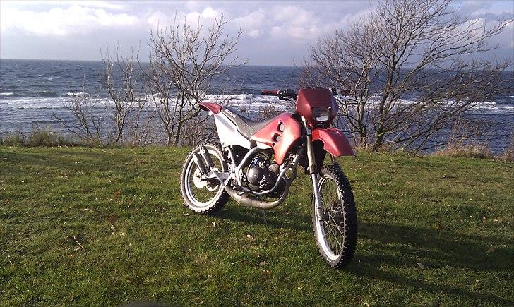 Suzuki Rmx billede 1