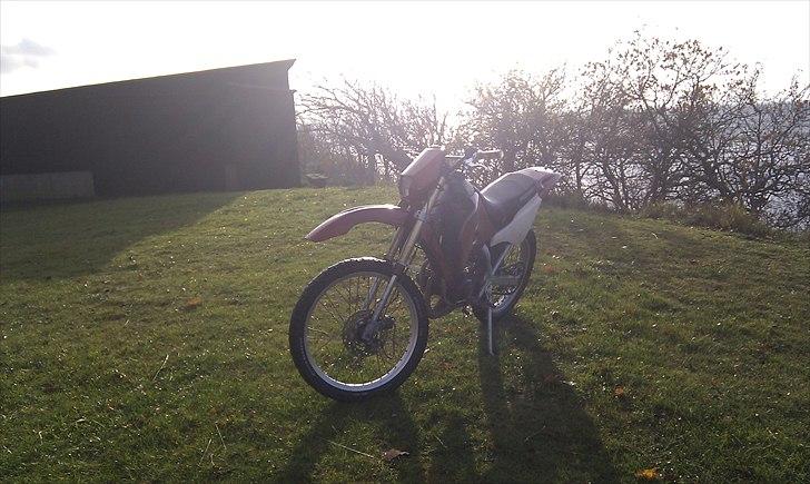 Suzuki Rmx billede 2