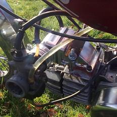 Puch Maxi KL 1981 - renoveret