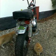 Skyteam Dax Takegawa twin // (FØR)