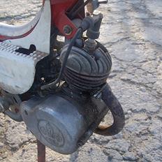 Sco Populær $ Sommerkværnen $