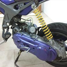 Suzuki Street Magic