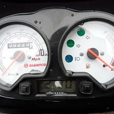 Giantco Stealth (Helge)