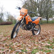 Suzuki rmx (Byttet)