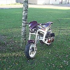 Suzuki street magic-solgt