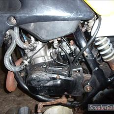 Suzuki rmx bytte til senda