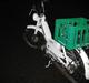 Puch maxi