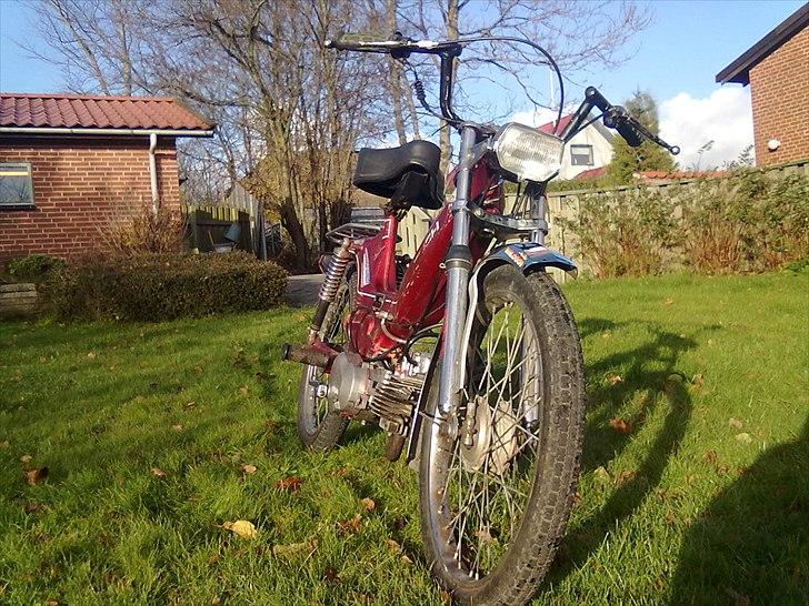 Puch Maxi KL 1981 - renoveret - forfra... billede 1