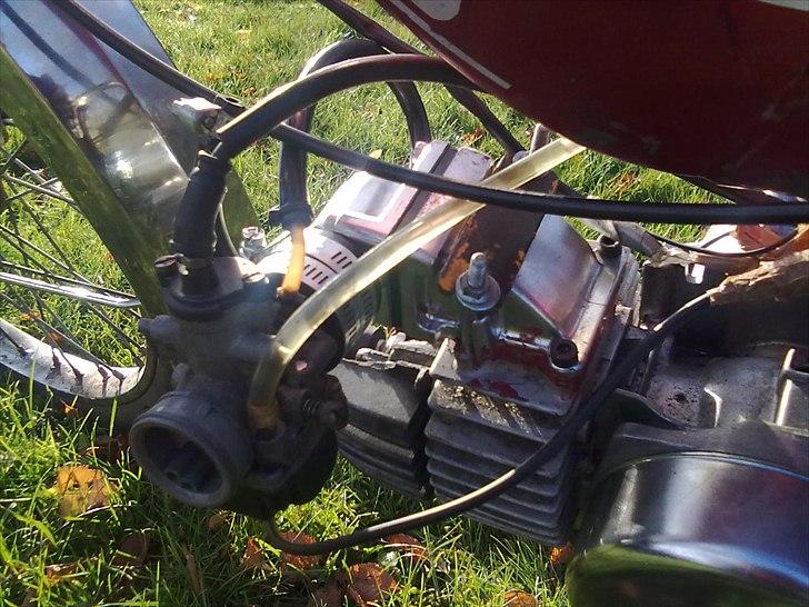 Puch Maxi KL 1981 - renoveret - MMMM...   ...EMBRAN!!!!!!....... billede 3