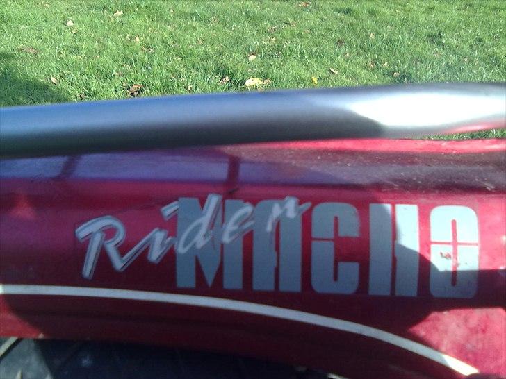 Puch Maxi KL 1981 - renoveret - det er åbentbart en rider model billede 6