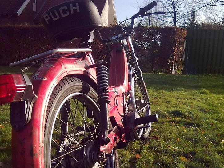 Puch Maxi KL 1981 - renoveret - badfra billede 7