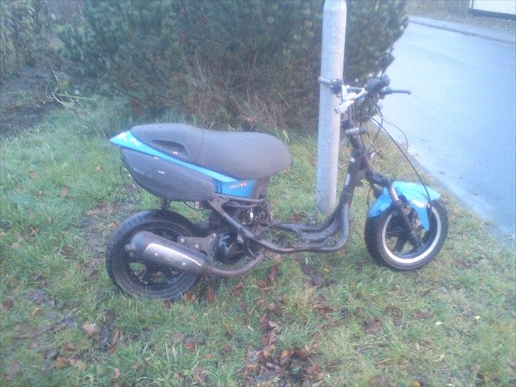 Benelli 491 gt  byttet billede 5
