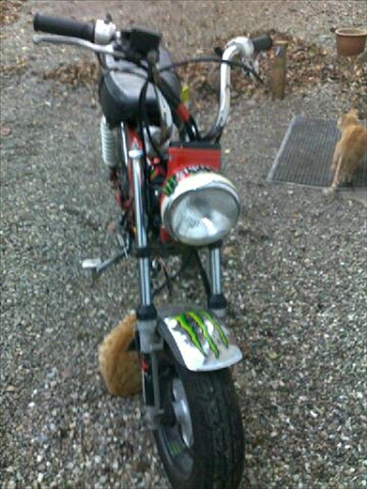 Skyteam Dax Takegawa twin // (FØR) billede 2