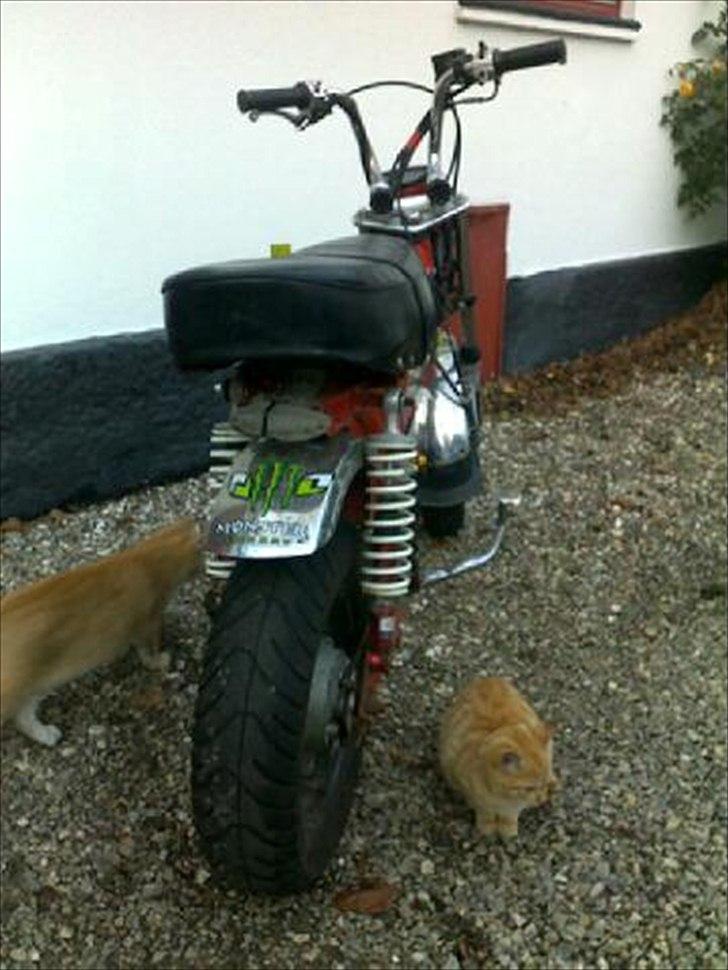 Skyteam Dax Takegawa twin // (FØR) billede 3