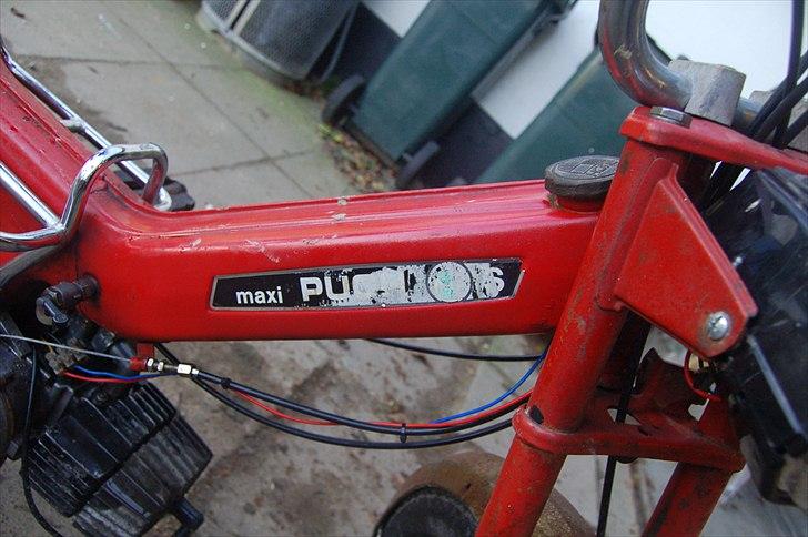Puch Maxi P "Solgt" billede 2