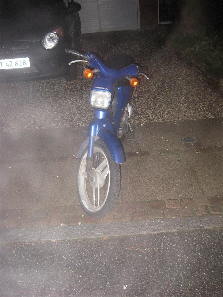 Honda wallaroo billede 3