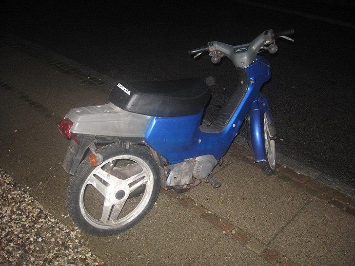 Honda wallaroo billede 4