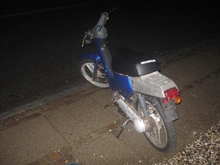 Honda wallaroo billede 5