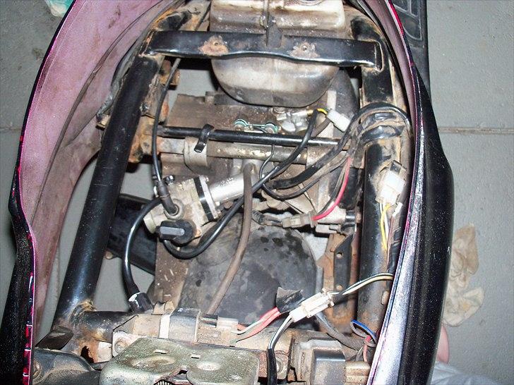 PGO Hot 50 - taget af policen billede 3