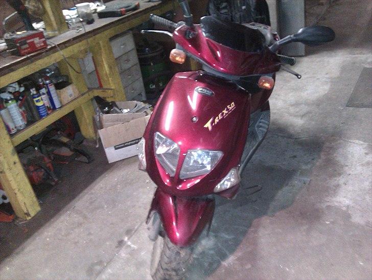 PGO t-rex 45 billede 1