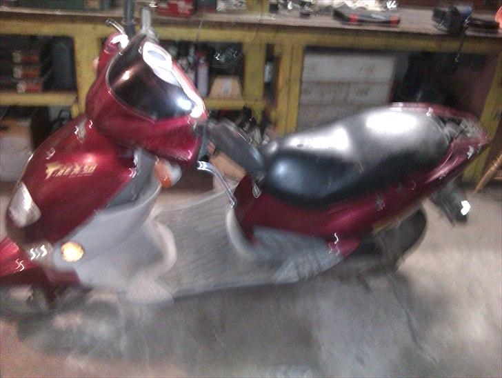 PGO t-rex 45 billede 2