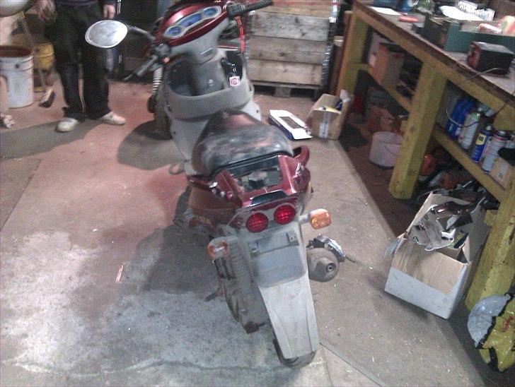 PGO t-rex 45 billede 3