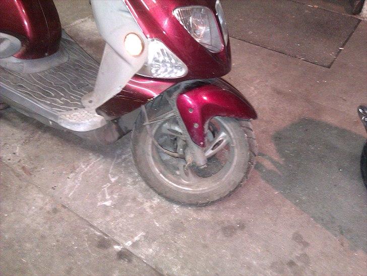 PGO t-rex 45 billede 4