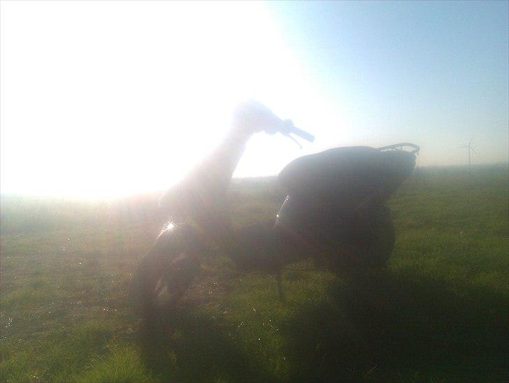 PGO hot 50 solgt billede 3