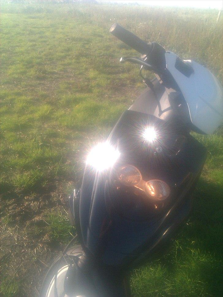 PGO hot 50 solgt billede 4