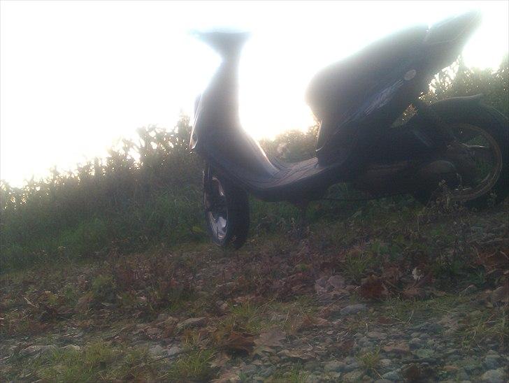 PGO hot 50 solgt billede 6