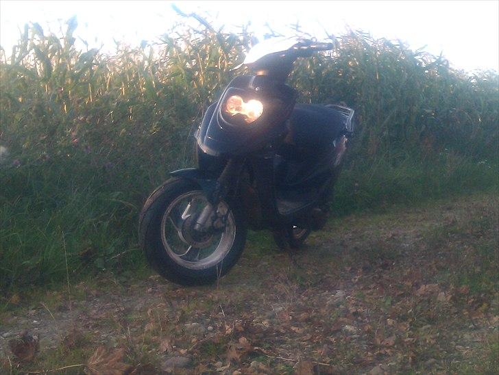 PGO hot 50 solgt billede 7