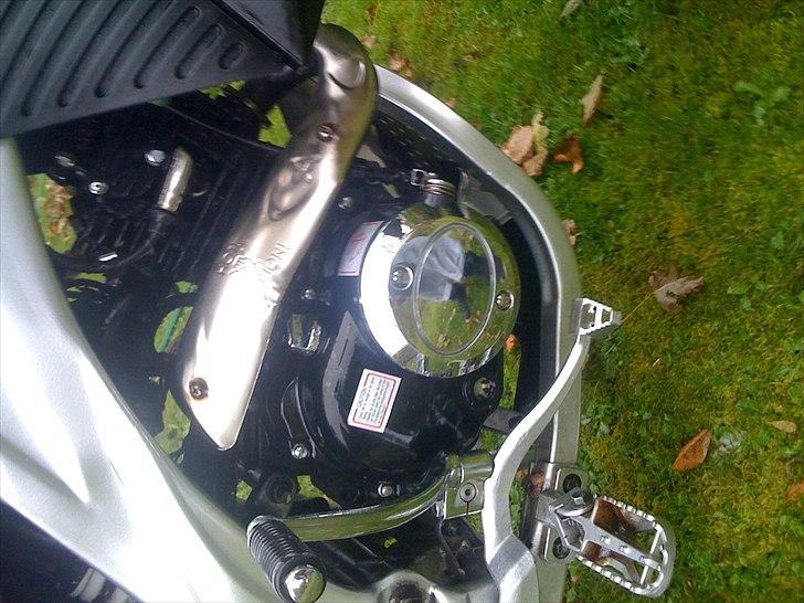 Apollo Orion    aragon 36 . / solgt billede 7