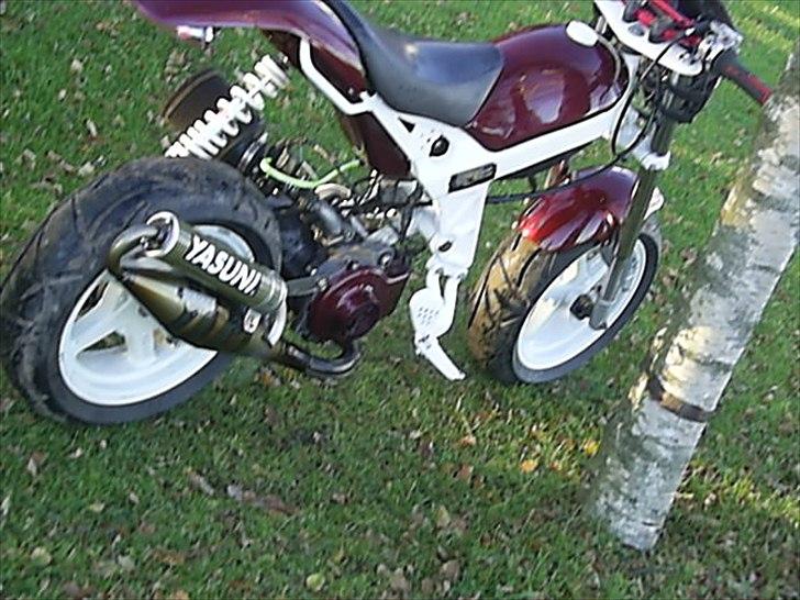 Suzuki street magic-solgt billede 5