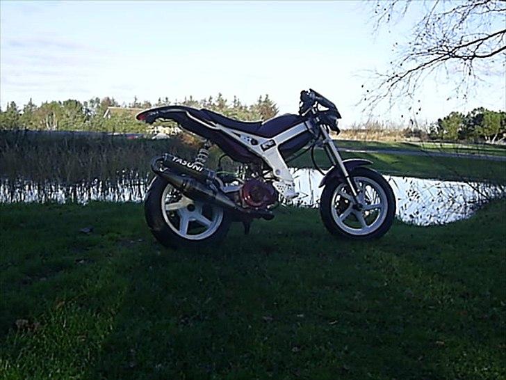 Suzuki street magic-solgt billede 10