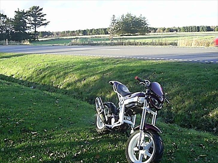 Suzuki street magic-solgt billede 13