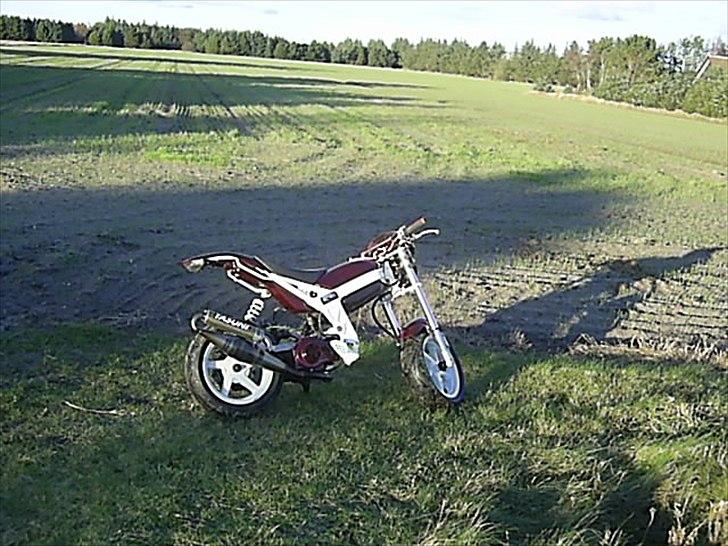 Suzuki street magic-solgt billede 16