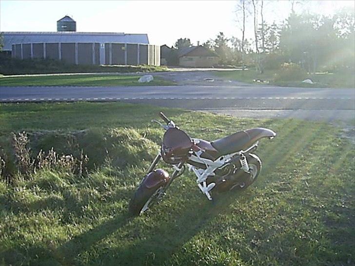 Suzuki street magic-solgt billede 17