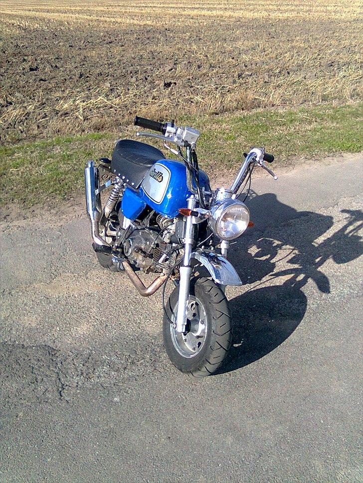 Jincheng Gorilla billede 3