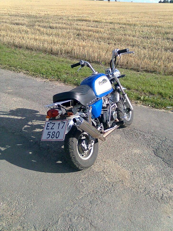 Jincheng Gorilla billede 4