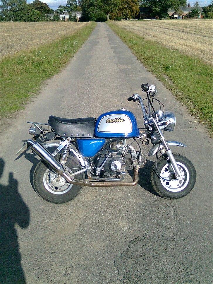 Jincheng Gorilla billede 5