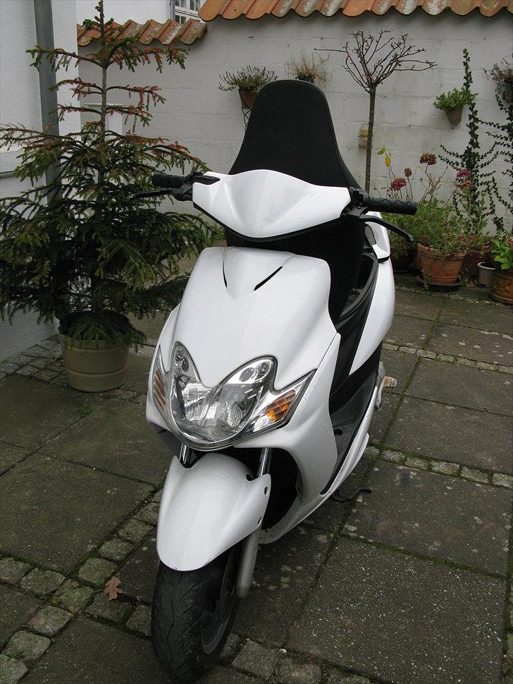 Yamaha Jog R BYTTET til Rieju - Taget i dag i min have d. 18-11-2010 billede 5